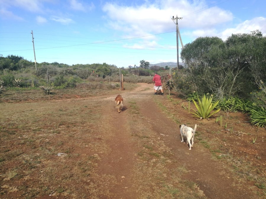 3 Bedroom Property for Sale in Uitenhage Rural Eastern Cape